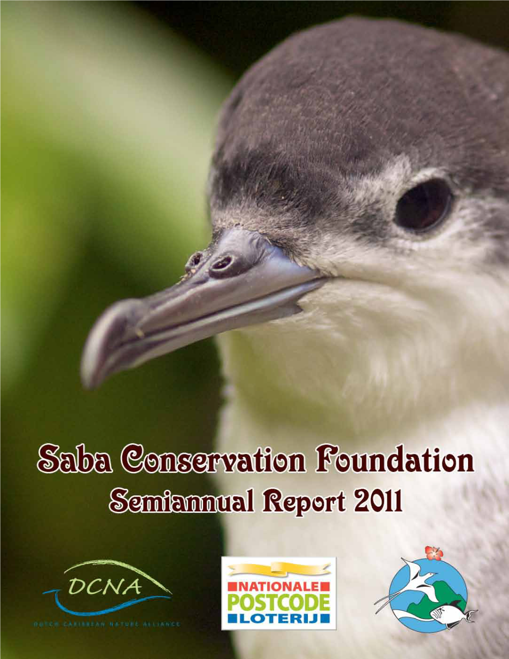 SCF Semiannual Report 2011.Pdf