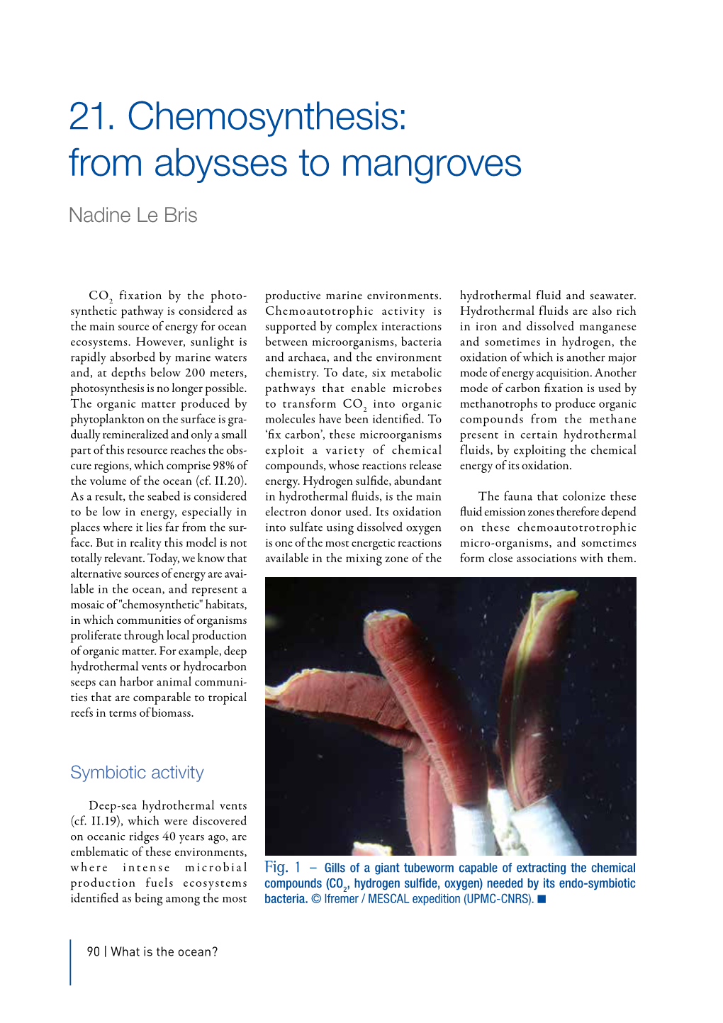 21. Chemosynthesis: from Abysses to Mangroves