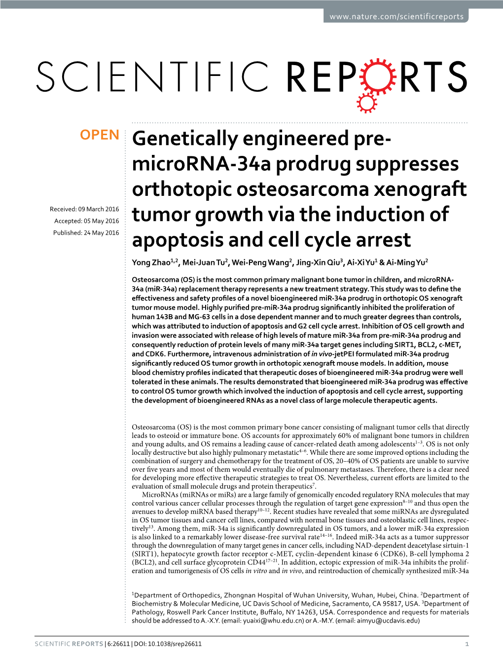 Microrna-34A Prodrug Suppresses Orthotopic Osteosarcoma Xenograft