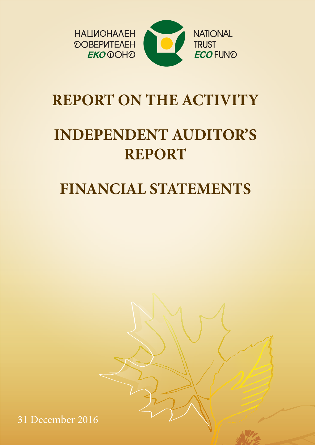 Report on the Activity Independent Auditor's