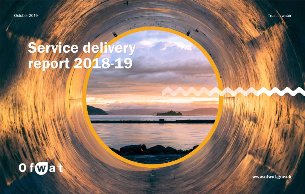 Service Delivery Report 2018-1 9