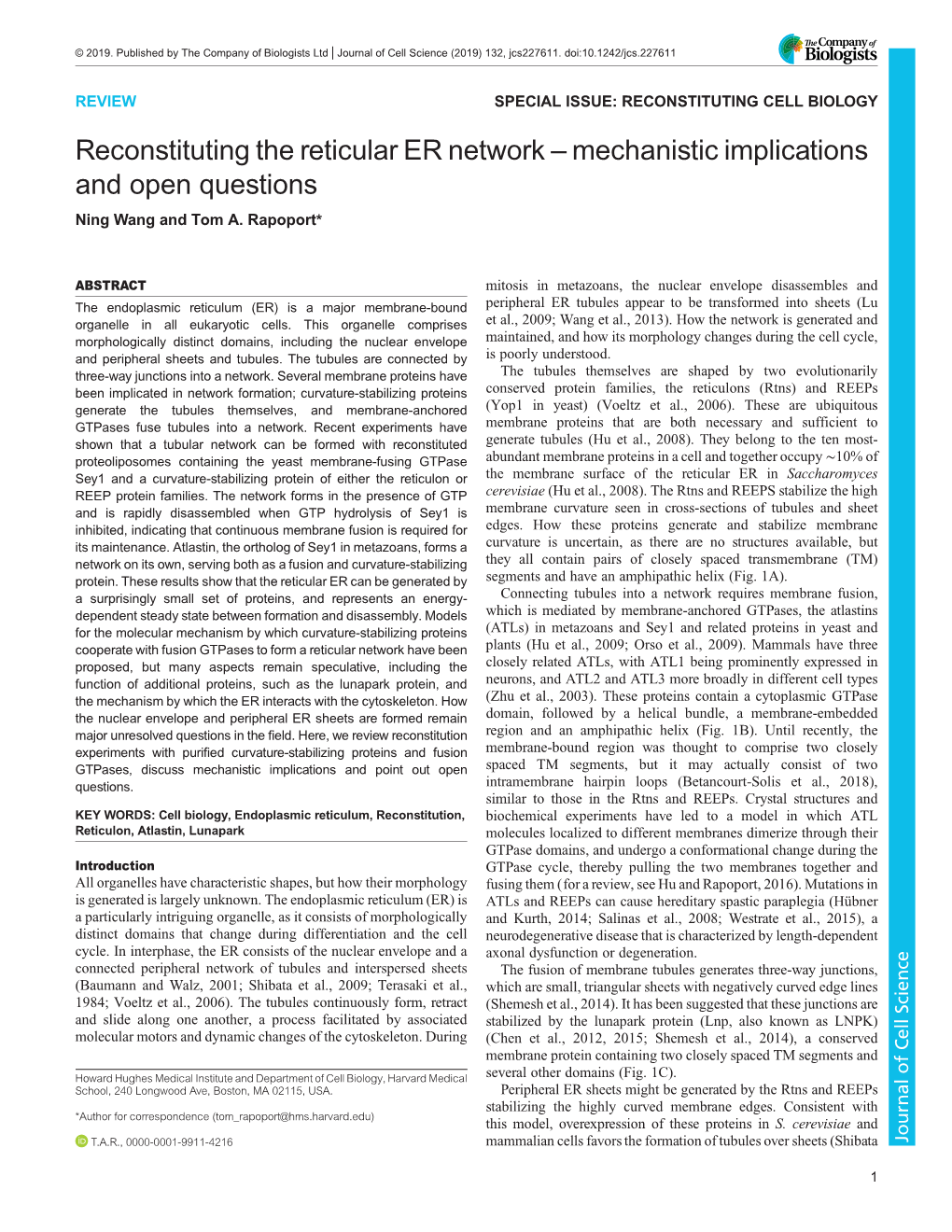 Reconstituting the Reticular ER Network – Mechanistic Implications and Open Questions Ning Wang and Tom A