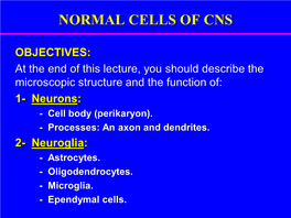 Normal Cells of Cns