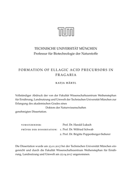 Formation of Ellagic Acid Precursors in Fragaria