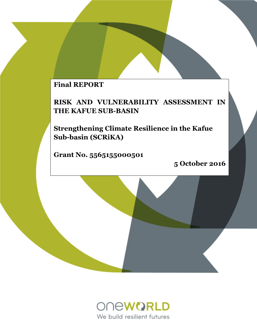 Final REPORT RISK and VULNERABILITY ASSESSMENT IN