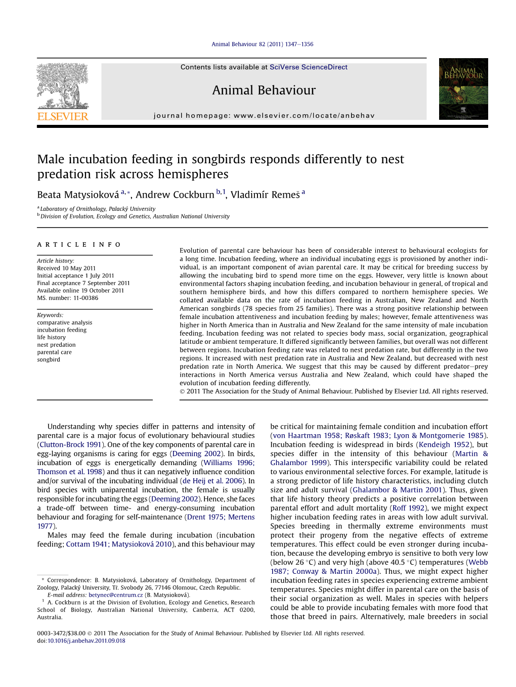 Male Incubation Feeding in Songbirds Responds Differently to Nest Predation Risk Across Hemispheres