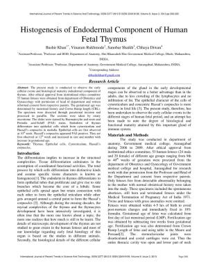 Histogenesis of Endodermal Component of Human Fetal Thymus