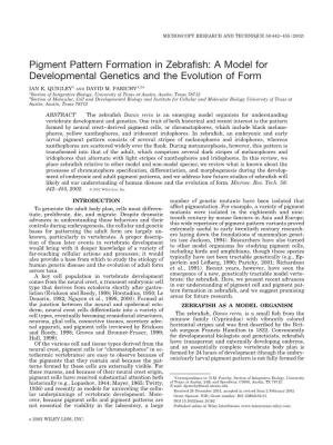 Pigment Pattern Formation in Zebrafish 443