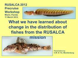 Change in the Distribution of Fishes Within the RUSALCA Region