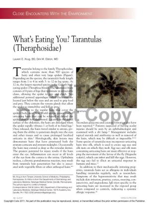 What's Eating You? Tarantulas (Theraphosidae)