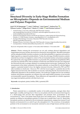 Structural Diversity in Early-Stage Biofilm Formation on Microplastics