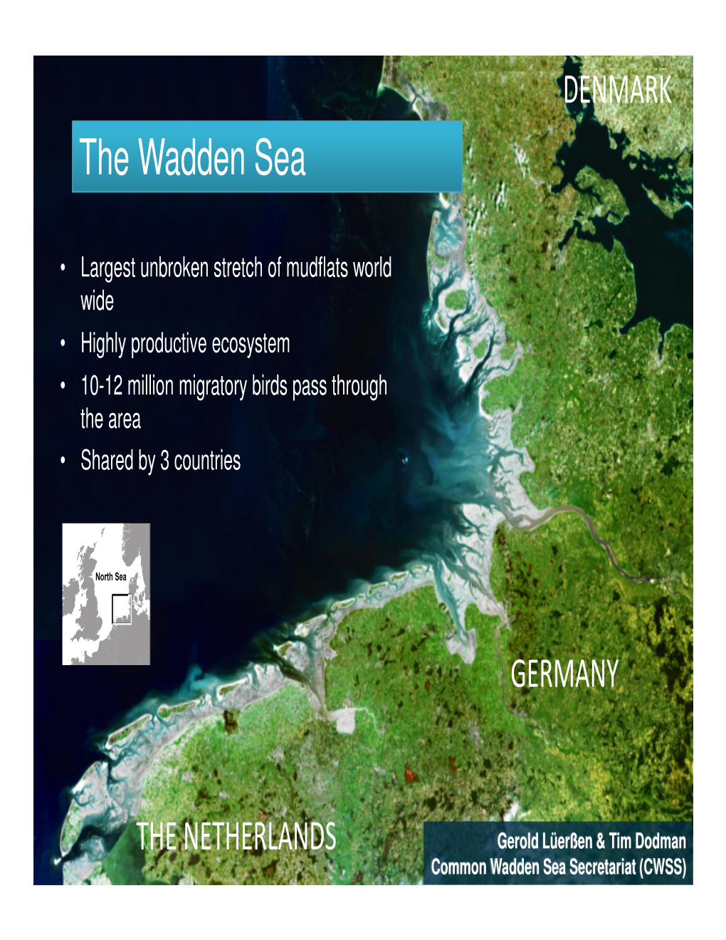 The Wadden Sea