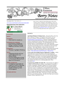 Massachusetts Berry Notes, November 2016