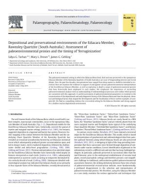 (South Australia): Assessment of Paleoenvironmental Proxies and the Timing of ‘Ferruginization’