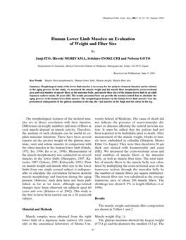 Human Lower Limb Muscles: an Evaluation of Weight and Fiber Size