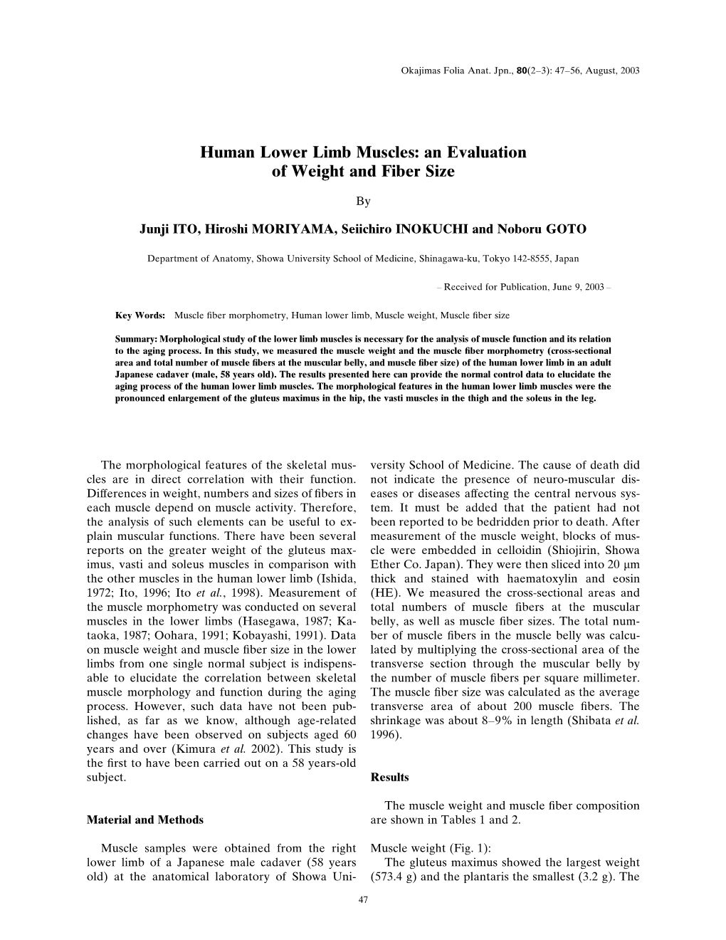 Human Lower Limb Muscles: an Evaluation of Weight and Fiber Size