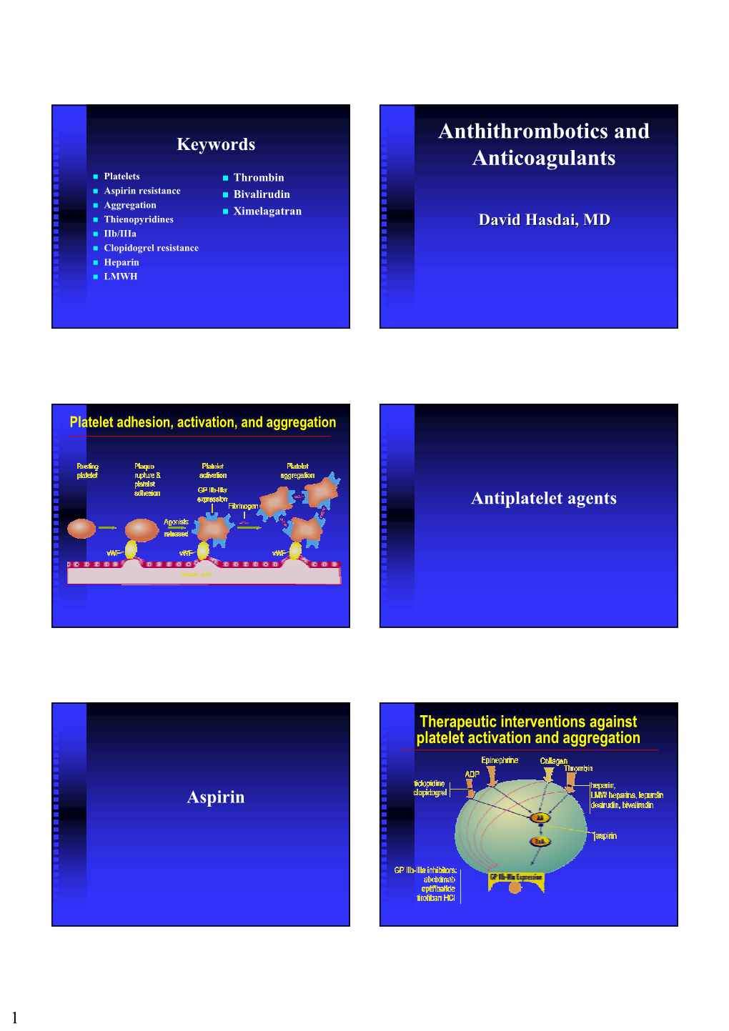 GP Iib/Iiia Receptor GP Iib/Iiia Receptor