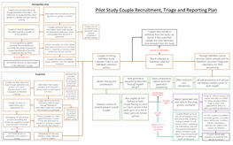 Pilot Study Couple Recruitment, Triage and Reporting Plan