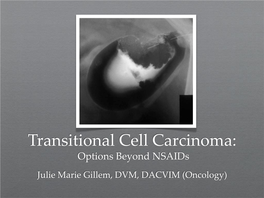Transitional Cell Carcinoma: Options Beyond Nsaids Julie Marie Gillem, DVM, DACVIM (Oncology) Overview
