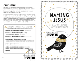 SALT Advent 2020 Naming Jesus V2.Indd