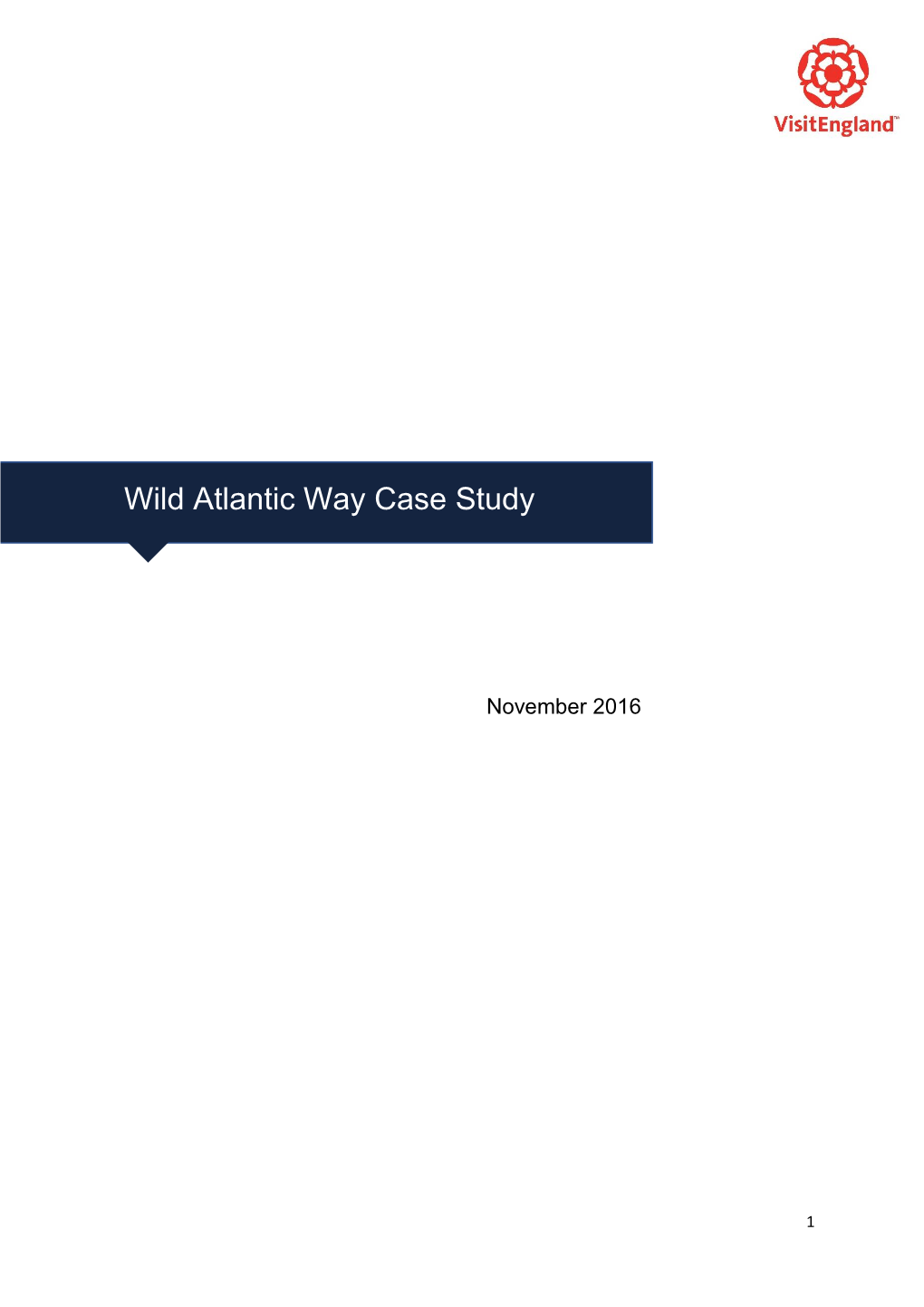 Wild Atlantic Way Case Study