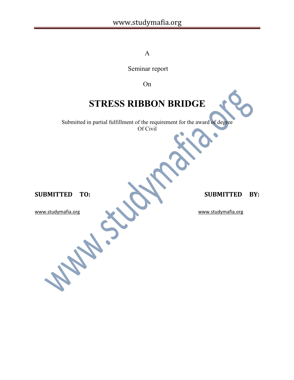 Stress Ribbon Bridge