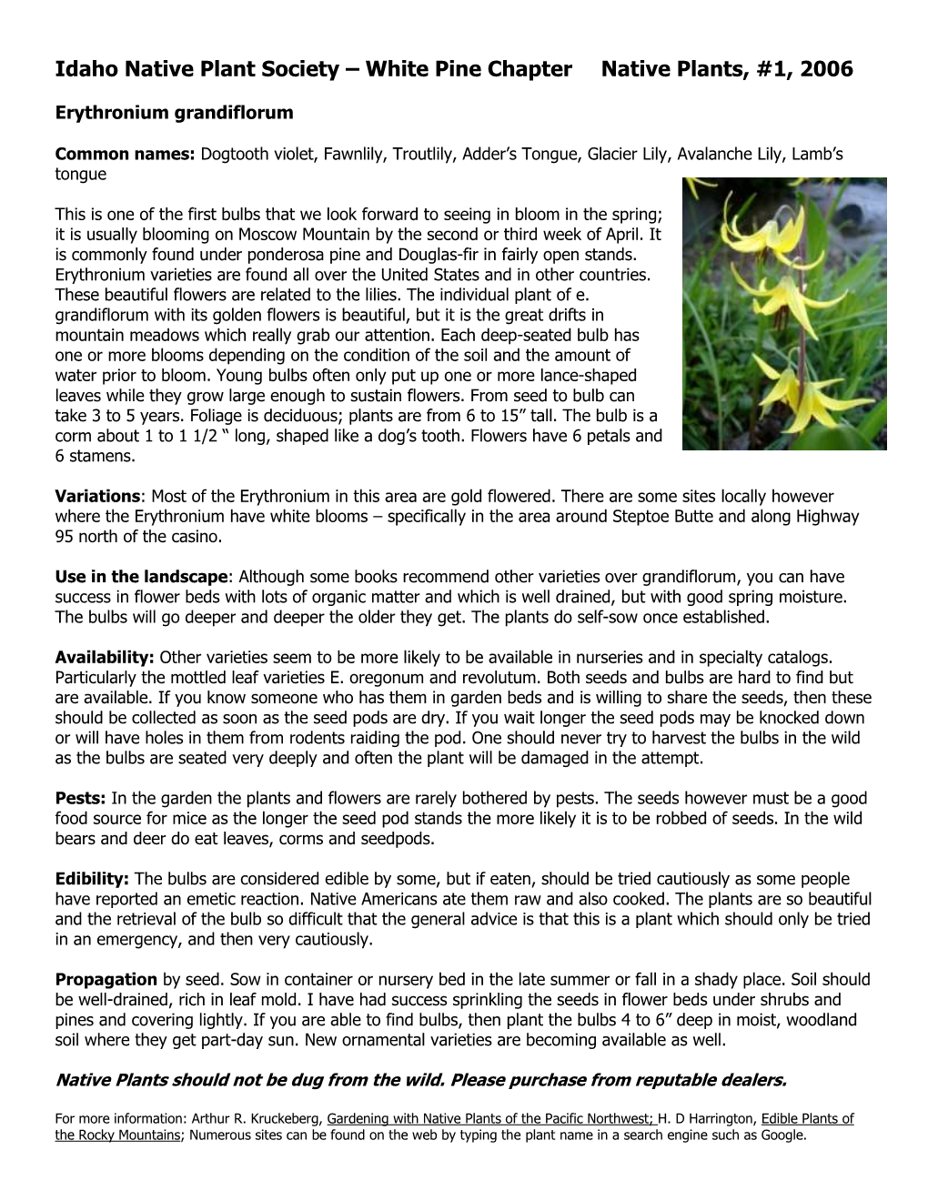 Erythronium Grandiflorum Species Sheet