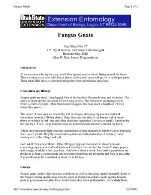 Fungus Gnats Page 1 of 3