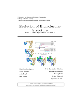 Evolution of Biomolecular Structure Class II Trna-Synthetases and Trna