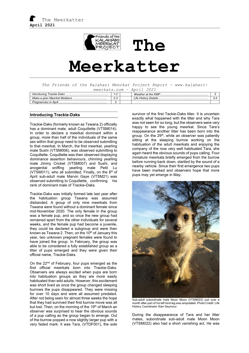 The Meerkatter April 2021