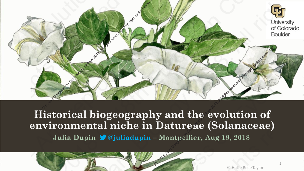 Datureae (Solanaceae) Biogeography and Fruit Type Evolution