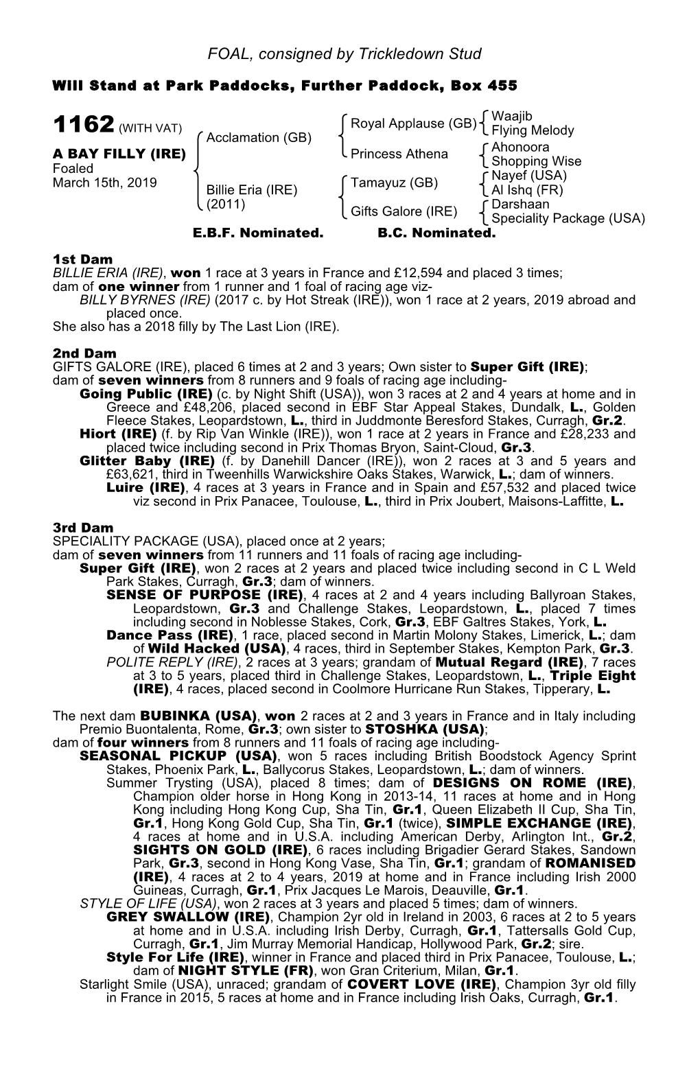 FOAL, Consigned by Trickledown Stud