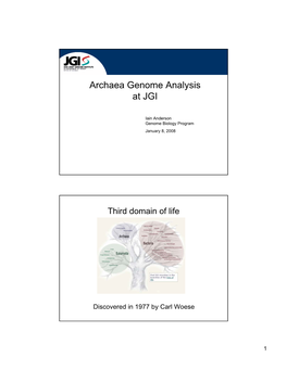 Archaea Genome Analysis at JGI