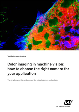 Color Imaging in Machine Vision: How to Choose the Right Camera for Your Application