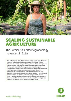 Scaling Sustainable Agriculture: the Farmer-To-Farmer Agroecology Movement in Cuba