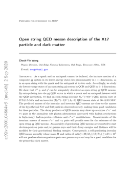 Open String QED Meson Description of the X17 Particle and Dark Matter