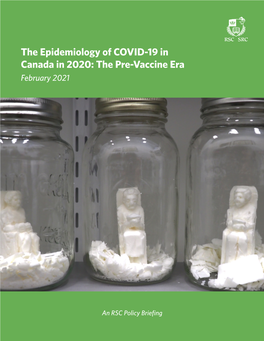 The Epidemiology of COVID-19 in Canada in 2020: the Pre-Vaccine Era February 2021