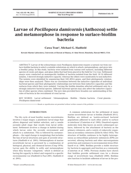 Settle and Metamorphose in Response to Surface-Biofilm Bacteria