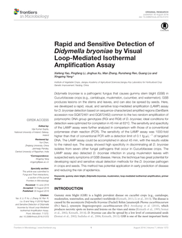 Rapid and Sensitive Detection of Didymella Bryoniae by Visual Loop-Mediated Isothermal Amplification Assay