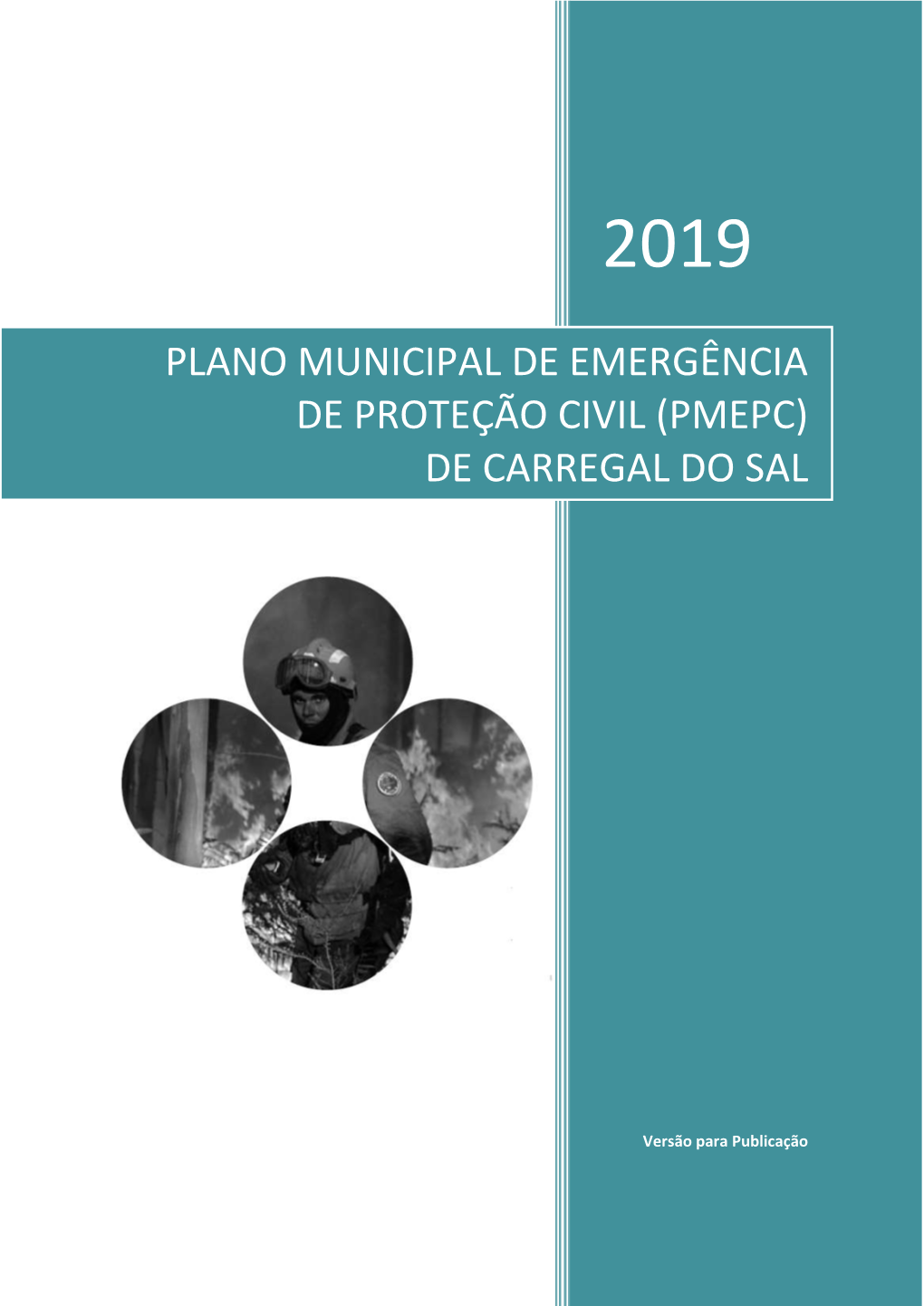 Plano Municipal De Emergência De Proteção Civil (Pmepc) De Carregal Do Sal