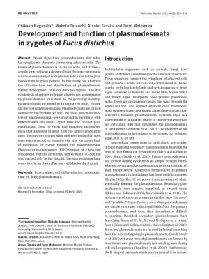 Development and Function of Plasmodesmata in Zygotes of Fucus Distichus