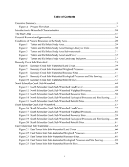 Chapter 1 Table of Contents & Executive Summary
