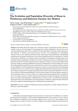 The Evolution and Population Diversity of Bison in Pleistocene and Holocene Eurasia: Sex Matters