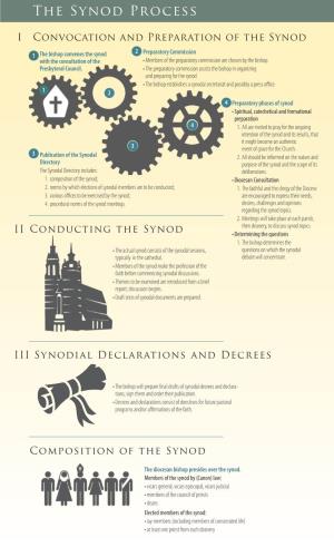 The Synod Process