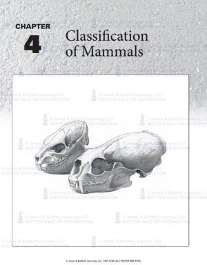 Classification of Mammals 61