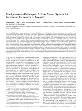 Brachypodium Distachyon. a New Model System for Functional Genomics in Grasses1