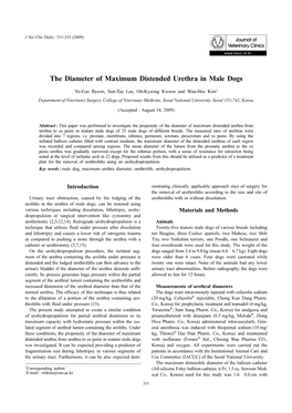 The Diameter of Maximum Distended Urethra in Male Dogs