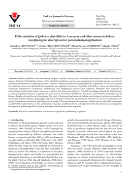 Differentiation of Globular Phytoliths in Arecaceae and Other Monocotyledons: Morphological Description for Paleobotanical Application