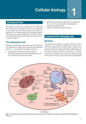 Cellular Biology 1