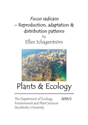 Plants and Ecology 2013:2